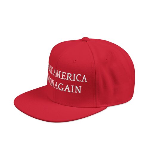 MAGA hat but cool - Image 2